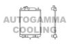 AUTOGAMMA 103910 Radiator, engine cooling